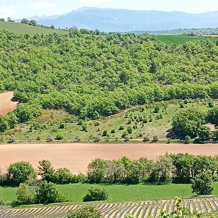 La Bergerie En Provence ベッド・アンド・ブレックファスト