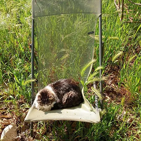 Nocleg ze śniadaniem La Bergerie En Provence Puimichel