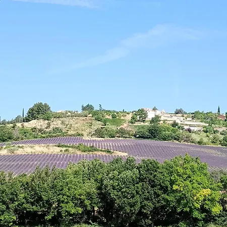 La Bergerie En Provence Bed & Breakfast Puimichel
