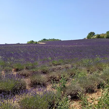 La Bergerie En Provence