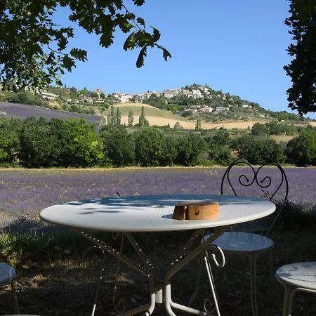 La Bergerie En Provence ベッド・アンド・ブレックファスト Puimichel